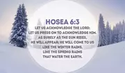 Hosea 6:3 w/ Sarah Hamaker - Crosswalk PLUS Video Devotional for November 26, 2024