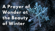 A Prayer of Wonder at the Beauty of Winter | Your Daily Prayer