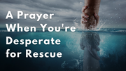 A Prayer When You're Desperate for Rescue | Your Daily Prayer