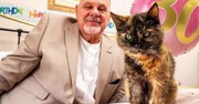 This 30-Year-Old Feline Might Just Be the World's Oldest Cat