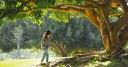 6 Trees in the Bible That Point Us to God's Justice, Mercy, and Eternal Life