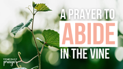 A Prayer to Abide in the Vine | Your Daily Prayer