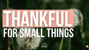 Thankful for Small Things | Your Nightly Prayer