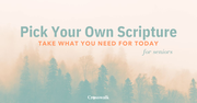 Take What You Need: Scripture for Seniors