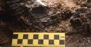2,600-Year-Old Charred Beams from Solomon's Temple Era Unearthed in Jerusalem