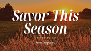 A Prayer to Help Us Savor Long Summer Days | Your Daily Prayer