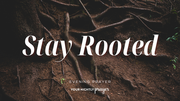 Entering a New Season Rooted in God | Your Nightly Prayer