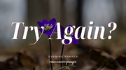 Trusting God with What You’re Picking Back Up | Your Nightly Prayer