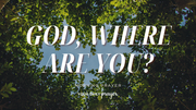 A Prayer to Seek Out the Lord | Your Daily Prayer