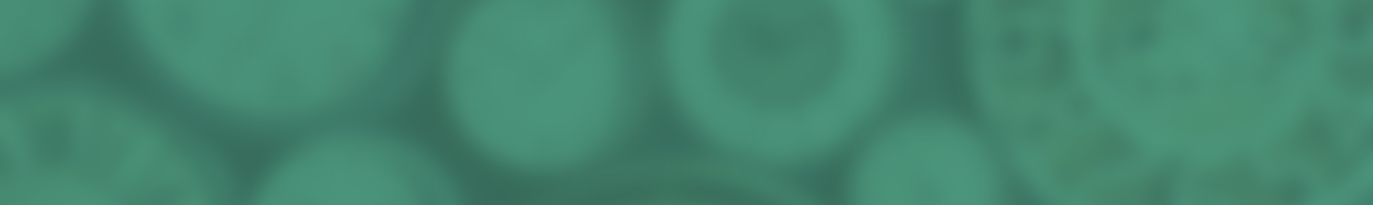 Making the Most of Your Time: A Study of Ephesians 5:16