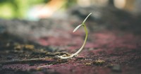 10 Inspiring Indications of a Born-Again Christian