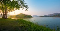 7 Verses and Prayers to Calm Your Anxious Heart