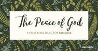 NEW Family Bible Study