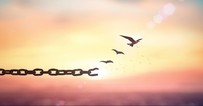 Mercy over Sacrifice - Crosswalk PLUS Video Devotional