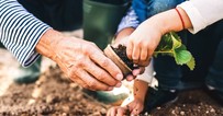 5 Seeds to Plant in Your Grandchildren's Hearts This Spring
