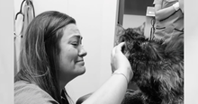 Her Cat Went Missing 13 Years Ago, Now She is Back Home to Spend Her Final Days
