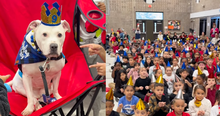 Students Learn Sign Language to Sing ‘Happy Birthday’ to Their Deaf Therapy Dog