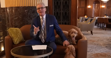 These Two Mini Goldendoodles Are the Best Part of This Wisconsin Hotel