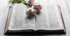 8 Proverbs to Decrease Anxiety and Increase Peace