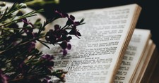10 Surprising Teachings from Song of Solomon