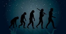 Evolution Is Going Nowhere