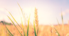 7 Important Prayers to Say First Thing in the Morning