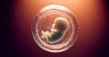 30-Year-Old Embryo’s Birth Sparks Debate Over Faith, Technology, and the Sanctity of Life