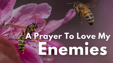 A Prayer To Love My Enemies | Your Daily Prayer