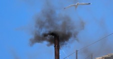 Smoke Rises as Cardinals Cast First Vote in Papal Election