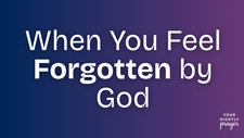 When You Feel Forgotten by God | Your Nightly Prayer
