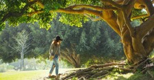 6 Trees in the Bible That Point Us to God's Justice, Mercy, and Eternal Life