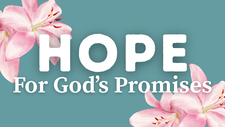 A Prayer of Hope for God's Promises to Be Fulfilled | Your Daily Prayer