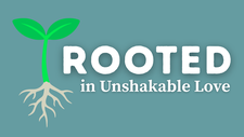 Rooted in Unshakable Love | Your Nightly Prayer