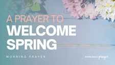 A Prayer to Welcome Spring | Your Daily Prayer