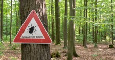 ER Visits Surge and Experts Urge Caution amid Record Tick Season