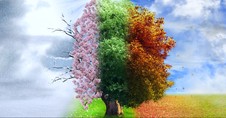 What Is the Significance of the Four Seasons in the Bible?