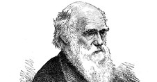 Darwin's Horrid Doubt
