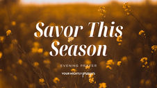 A Prayer to Help Us Savor Long Summer Days | Your Daily Prayer