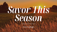 A Prayer to Help Us Savor Long Summer Days | Your Daily Prayer