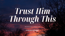 A Prayer to Grow in Trust Through Trials | Your Daily Prayer