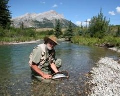 Catch-and-Release Preaching