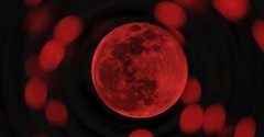 Nebuchadnezzar's Restless Night