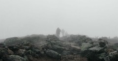 Lessons from the Fog