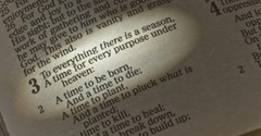 What's the Book of Ecclesiastes All About?