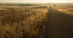 The Roman's Road to Salvation: A Pathway to God