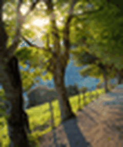 Studying Mark's Gospel: Conflict, Mountaintops, Redefinition