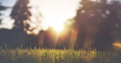 How to Find Purpose in Painful Circumstances