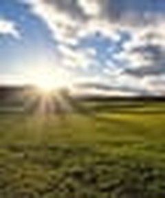 Studying Mark's Gospel: The Kingdom Is Dawning