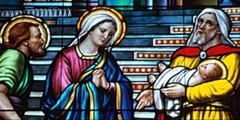 Figuring out the "Firstborn" in Colossians 1:18