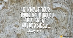 With Us in the Wilderness (Deuteronomy 2:7) - Your Daily Bible Verse - September 11